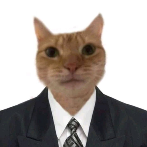 stock cat